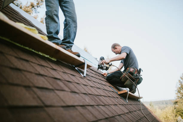 Emergency Roof Repair in Ferndale, MI